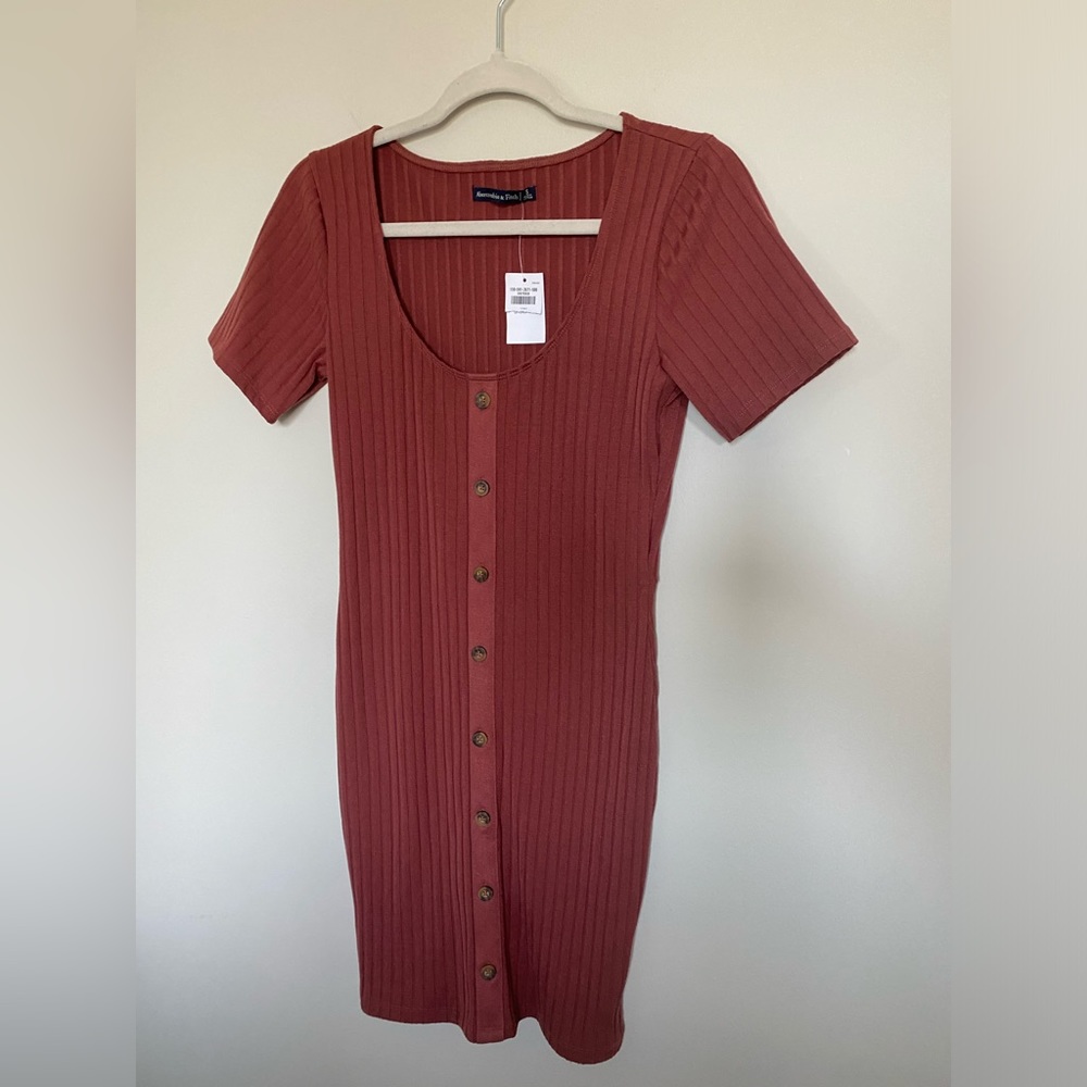 Abercrombie & Fitch Ribbed Button-Front Mini Dress in Brick